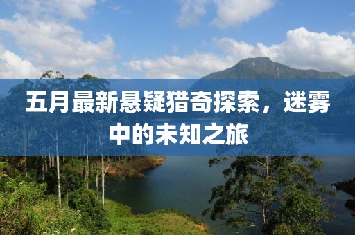 五月最新悬疑猎奇探索，迷雾中的未知之旅