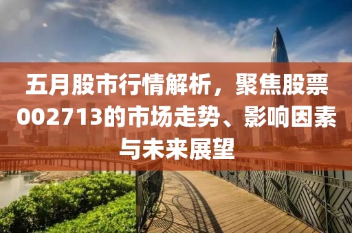 五月股市行情解析，聚焦股票002713的市场走势、影响因素与未来展望