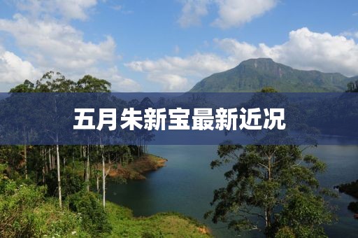 五月朱新宝最新近况