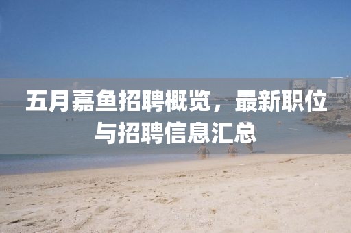 五月嘉鱼招聘概览，最新职位与招聘信息汇总