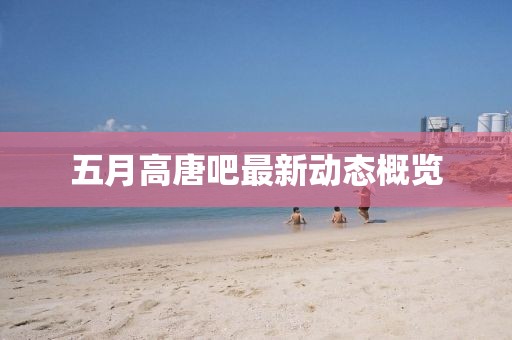 五月高唐吧最新动态概览