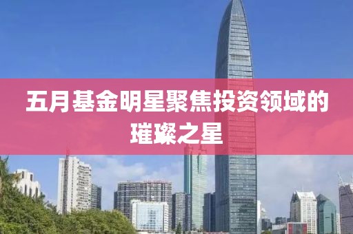 五月基金明星聚焦投资领域的璀璨之星