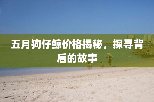 五月狗仔鲸价格揭秘，探寻背后的故事