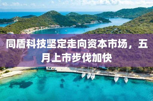 同盾科技坚定走向资本市场，五月上市步伐加快