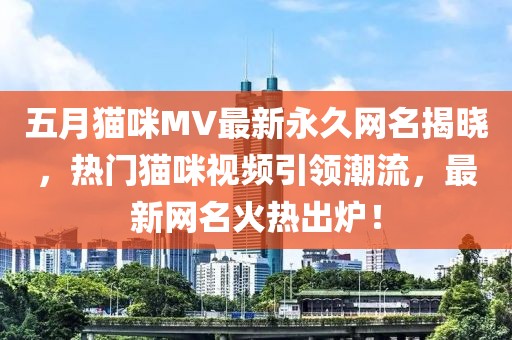 五月猫咪MV最新永久网名揭晓，热门猫咪视频引领潮流，最新网名火热出炉！