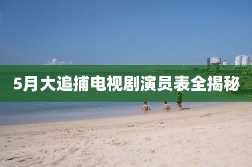 5月大追捕电视剧演员表全揭秘