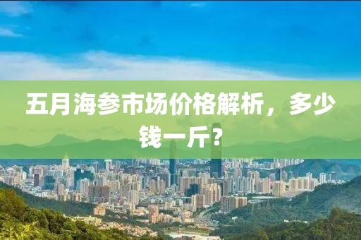五月海参市场价格解析，多少钱一斤？