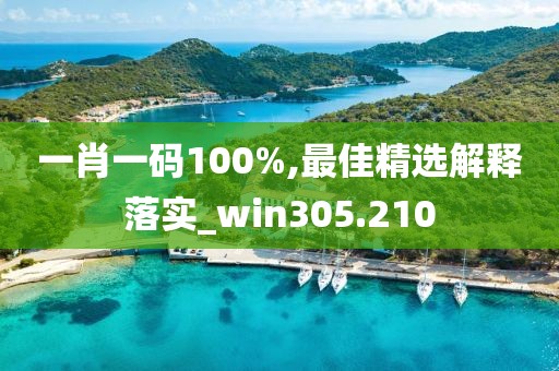 一肖一码100%,最佳精选解释落实_win305.210