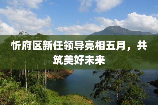 忻府区新任领导亮相五月，共筑美好未来