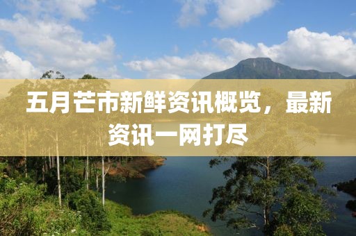 五月芒市新鲜资讯概览，最新资讯一网打尽