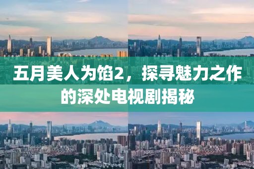 五月美人为馅2，探寻魅力之作的深处电视剧揭秘