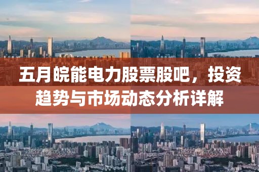 五月皖能电力股票股吧，投资趋势与市场动态分析详解
