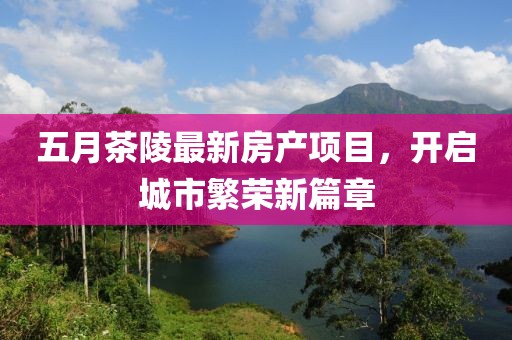 五月茶陵最新房产项目，开启城市繁荣新篇章