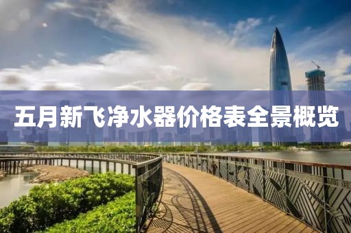 五月新飞净水器价格表全景概览