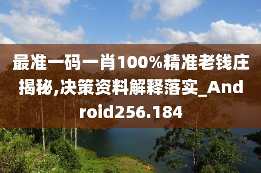 最准一码一肖100%精准老钱庄揭秘,决策资料解释落实_Android256.184