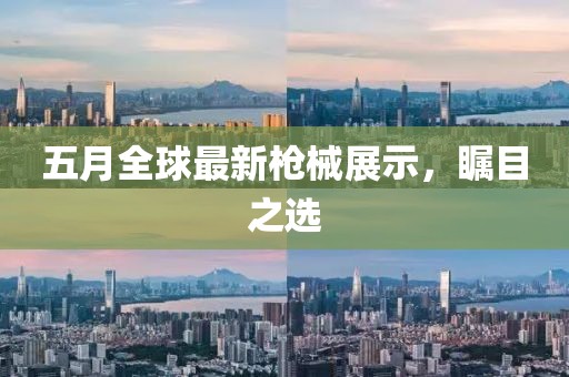 五月全球最新枪械展示，瞩目之选