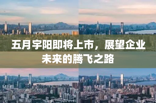 五月宇阳即将上市，展望企业未来的腾飞之路