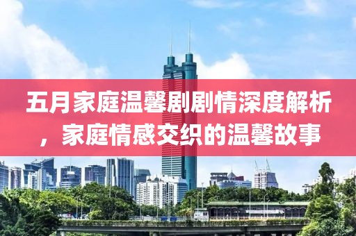 五月家庭温馨剧剧情深度解析，家庭情感交织的温馨故事