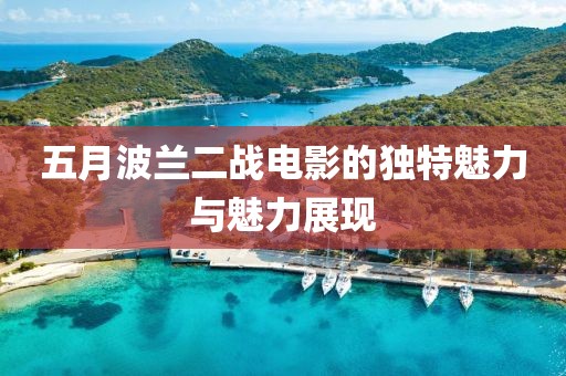 五月波兰二战电影的独特魅力与魅力展现