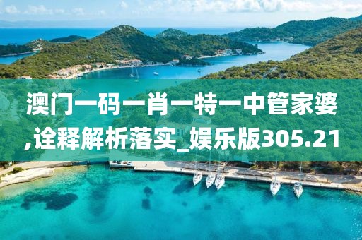 澳门一码一肖一特一中管家婆,诠释解析落实_娱乐版305.210