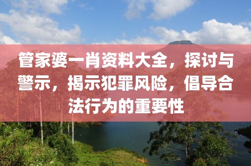 管家婆一肖资料大全，探讨与警示，揭示犯罪风险，倡导合法行为的重要性