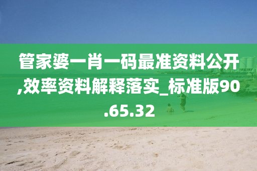 管家婆一肖一码最准资料公开,效率资料解释落实_标准版90.65.32