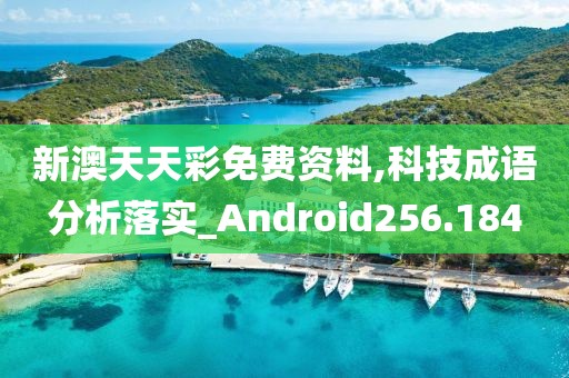 新澳天天彩免费资料,科技成语分析落实_Android256.184