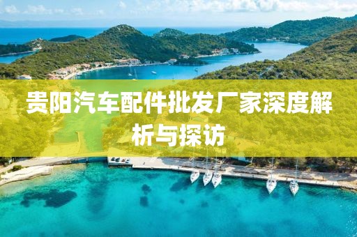 贵阳汽车配件批发厂家深度解析与探访