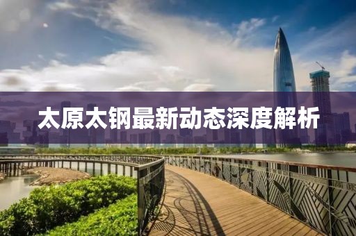 太原太钢最新动态深度解析