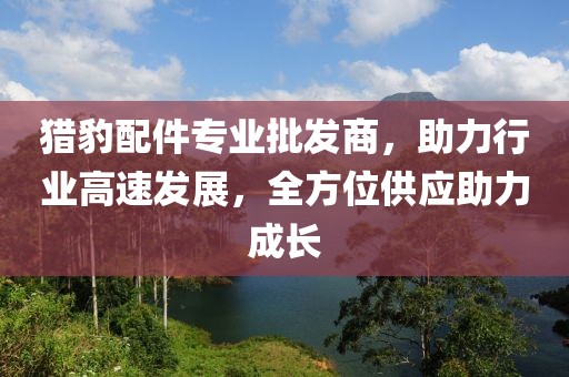 猎豹配件专业批发商，助力行业高速发展，全方位供应助力成长