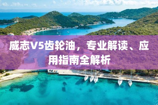 威志V5齿轮油，专业解读、应用指南全解析