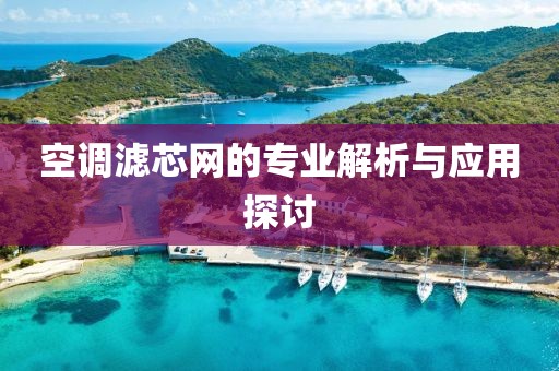 空调滤芯网的专业解析与应用探讨