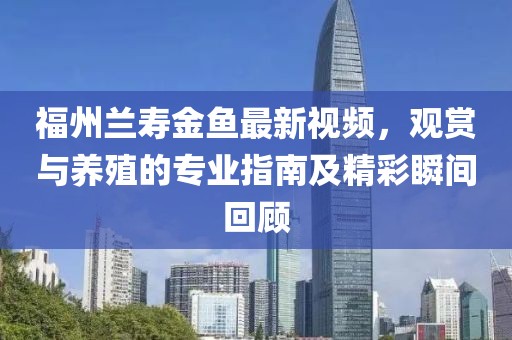 福州兰寿金鱼最新视频，观赏与养殖的专业指南及精彩瞬间回顾
