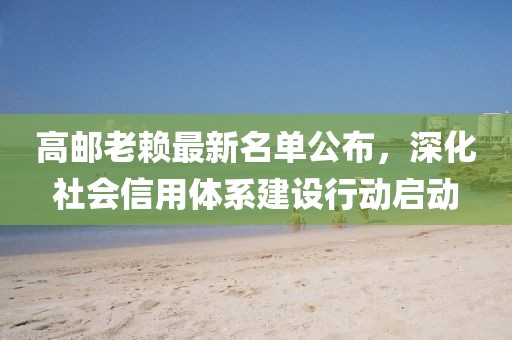 高邮老赖最新名单公布，深化社会信用体系建设行动启动