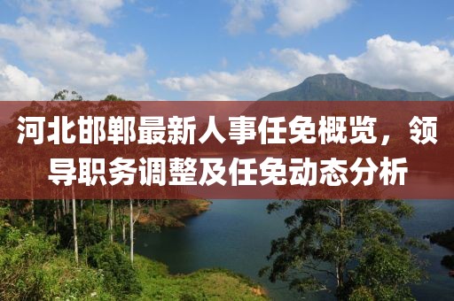河北邯郸最新人事任免概览，领导职务调整及任免动态分析