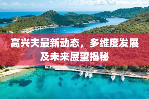 高兴夫最新动态，多维度发展及未来展望揭秘