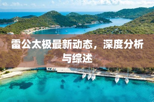 雷公太极最新动态，深度分析与综述