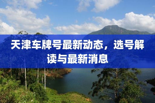 天津车牌号最新动态，选号解读与最新消息
