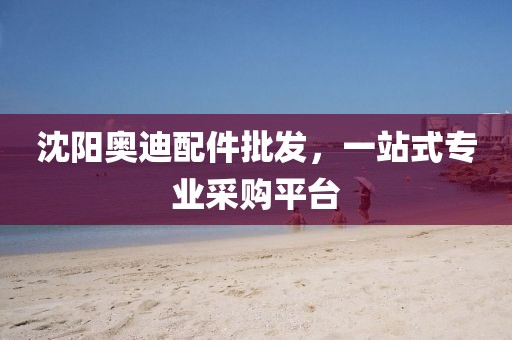 沈阳奥迪配件批发，一站式专业采购平台