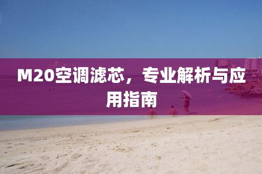 M20空调滤芯，专业解析与应用指南