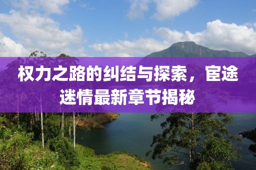 权力之路的纠结与探索，宦途迷情最新章节揭秘