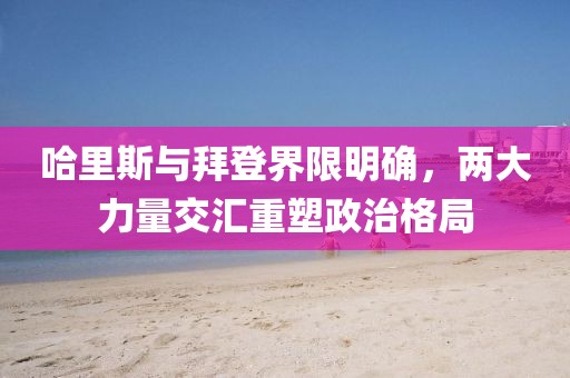 哈里斯与拜登界限明确，两大力量交汇重塑政治格局