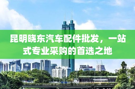 昆明晓东汽车配件批发，一站式专业采购的首选之地