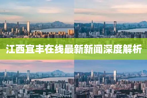 江西宜丰在线最新新闻深度解析