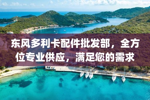 东风多利卡配件批发部，全方位专业供应，满足您的需求