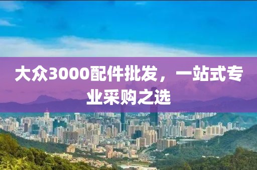 大众3000配件批发，一站式专业采购之选