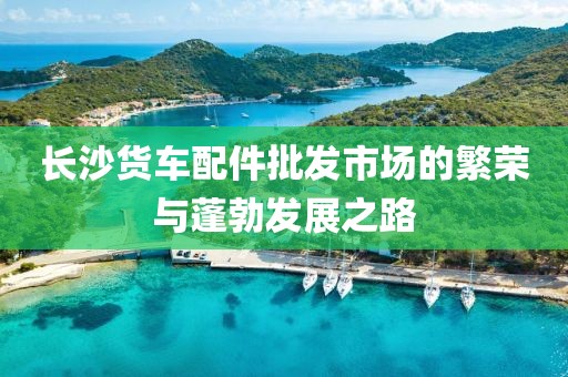 长沙货车配件批发市场的繁荣与蓬勃发展之路