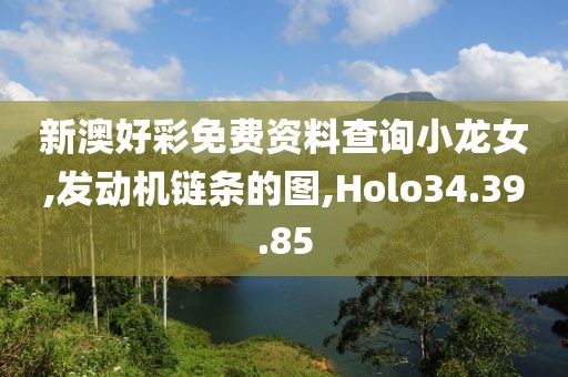 新澳好彩免费资料查询小龙女,发动机链条的图,Holo34.39.85
