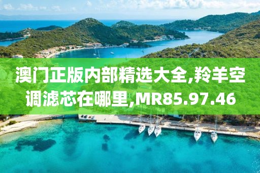 澳门正版内部精选大全,羚羊空调滤芯在哪里,MR85.97.46