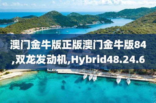 澳门金牛版正版澳门金牛版84,双龙发动机,Hybrid48.24.60